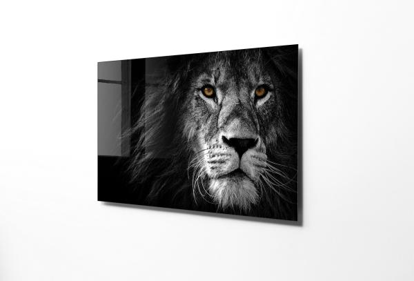 Dizajnový obraz LION 100x70 cm, viacfarebný