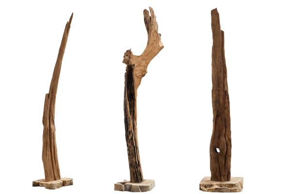 Prírodná socha, sada štyroch kusov,  REEF 100-125 cm driftwood