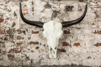 Impozantná lebka Buffalo EL TORO 70 cm z pevného hliníka