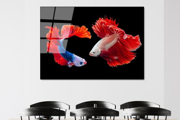 Dizajnový obraz JAPANESE FISH 100x70 cm, viacfarebný