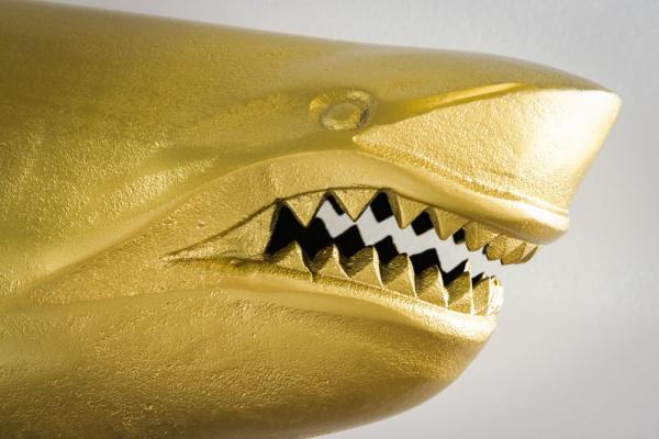 Dizajnová nástenná dekorácia SHARK 105 cm, zlatá, pravá