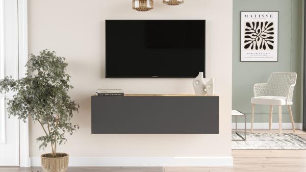 Elegantný TV stolík FRA III 100 cm, MDF, prírodný, šedý
