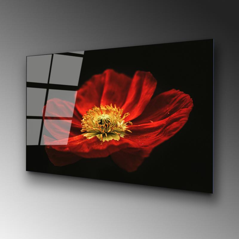 Dizajnový obraz RED 100x70 cm, viacfarebný