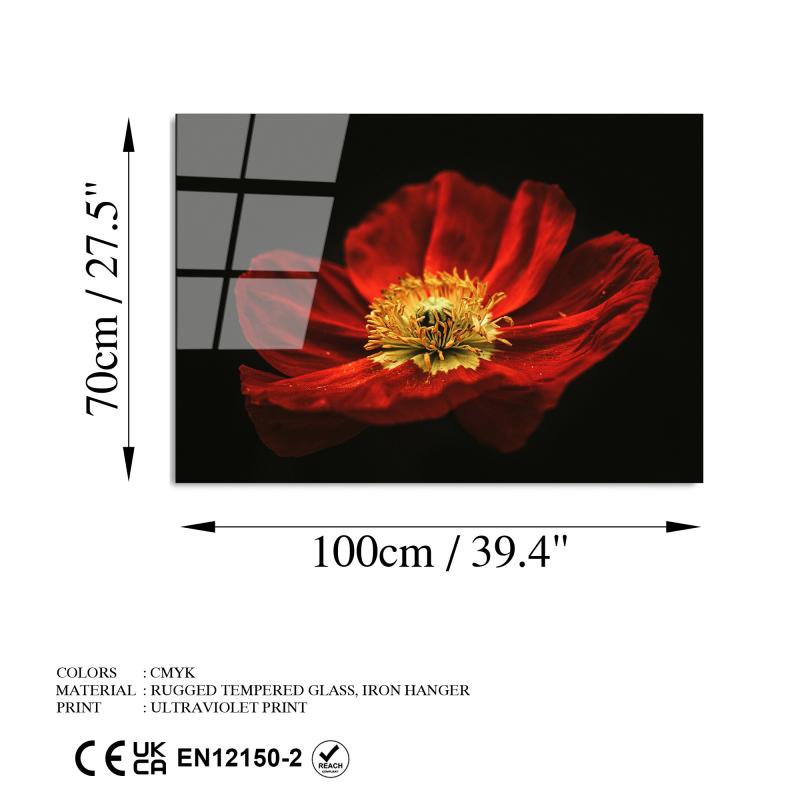 Dizajnový obraz RED 100x70 cm, viacfarebný