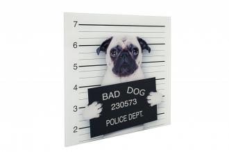 Dizajnový obraz braz BAD DOG 40x40 cm, sklo